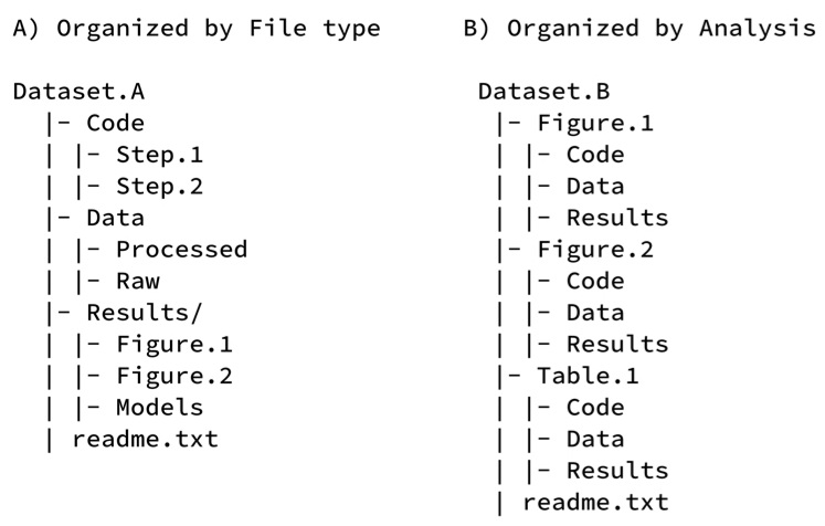 Directory Structure